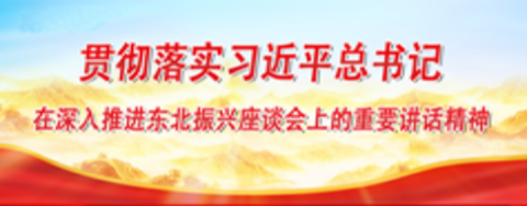貫徹落實(shí)習(xí)近平總書記在深入推進(jìn)東北振興座談會上的重要講話精神